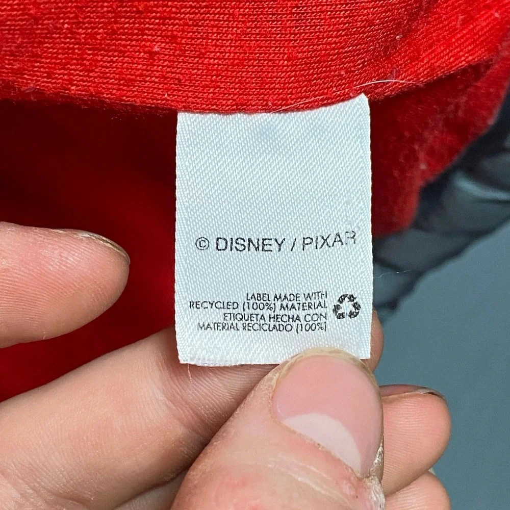 Disney has pit